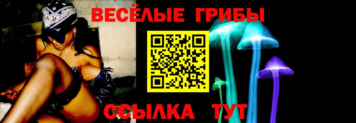 Псилоцибиновые грибы MAGIC MUSHROOMS Добрянка